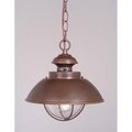 Vaxcel International Harwich 10In. Outdoor Pendant OD21506BBZ